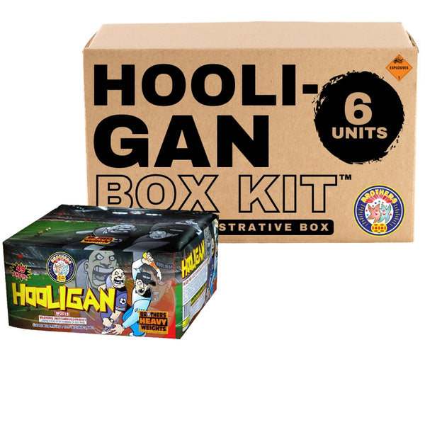 Hooligan | 49 Shot Aerial Repeater