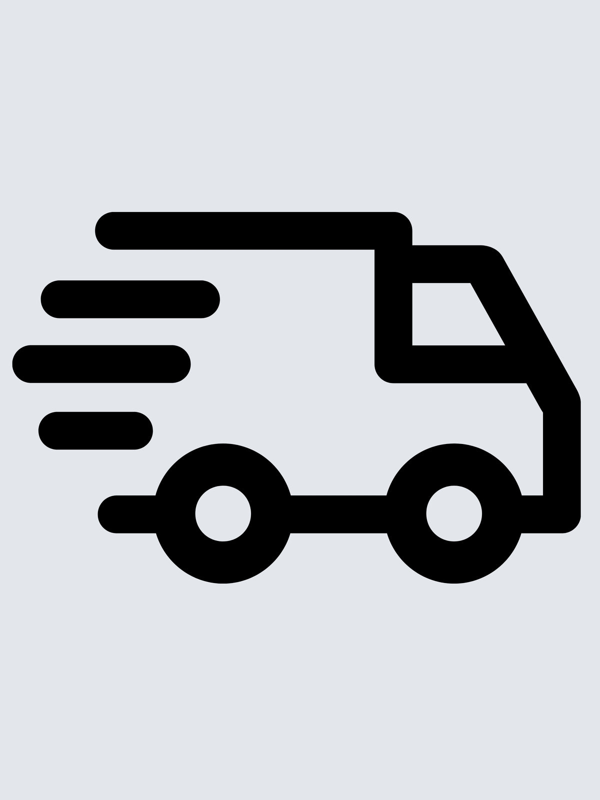 Icon of Fast Shipping.