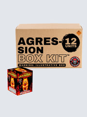 Aggression | 25 Shot Aerial Repeater at Elite Fireworks – ELITE